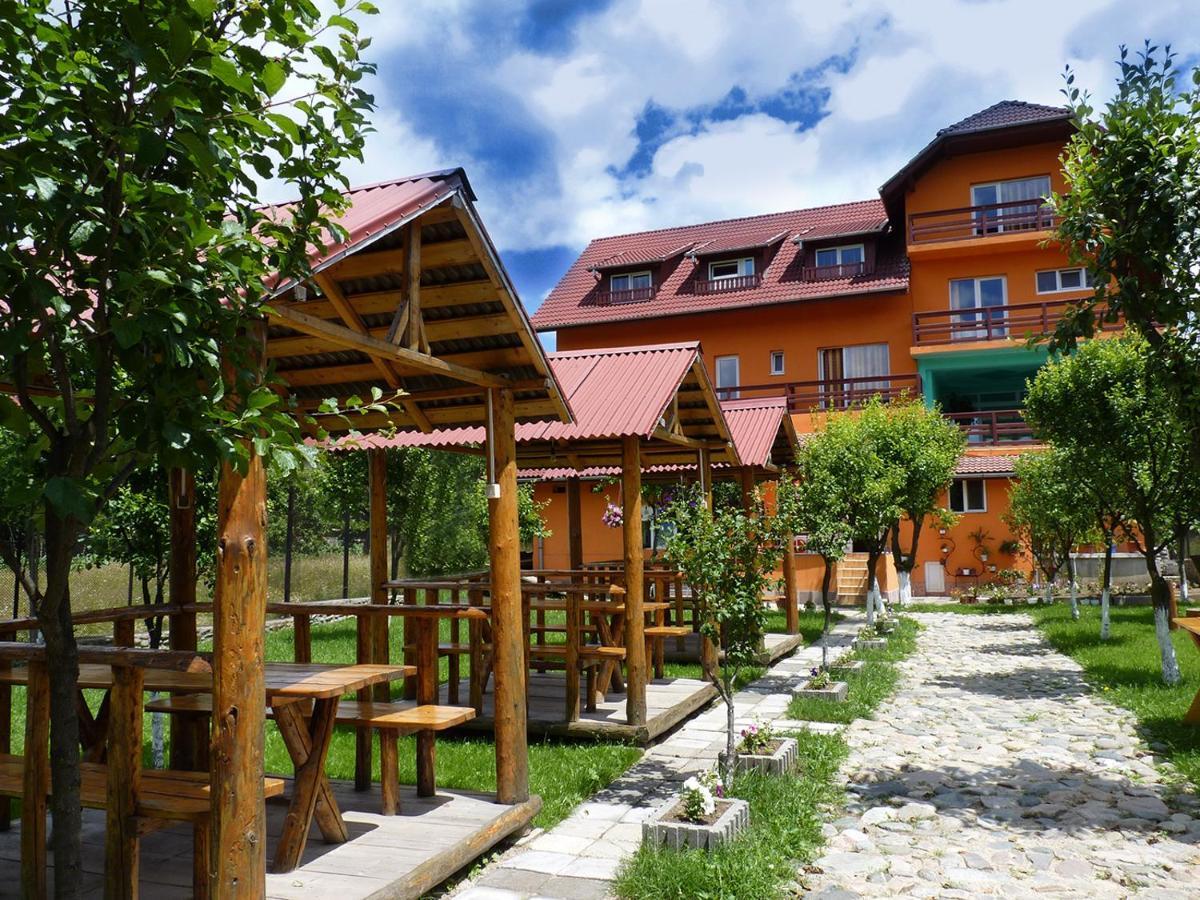 Floare De Colt Petrosani Otel Dış mekan fotoğraf