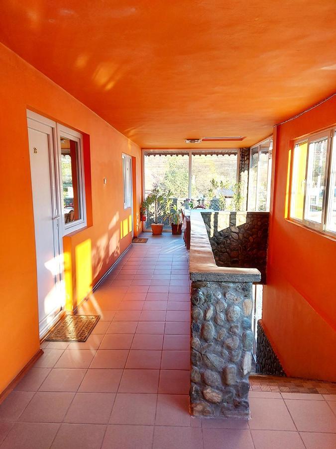 Floare De Colt Petrosani Otel Dış mekan fotoğraf