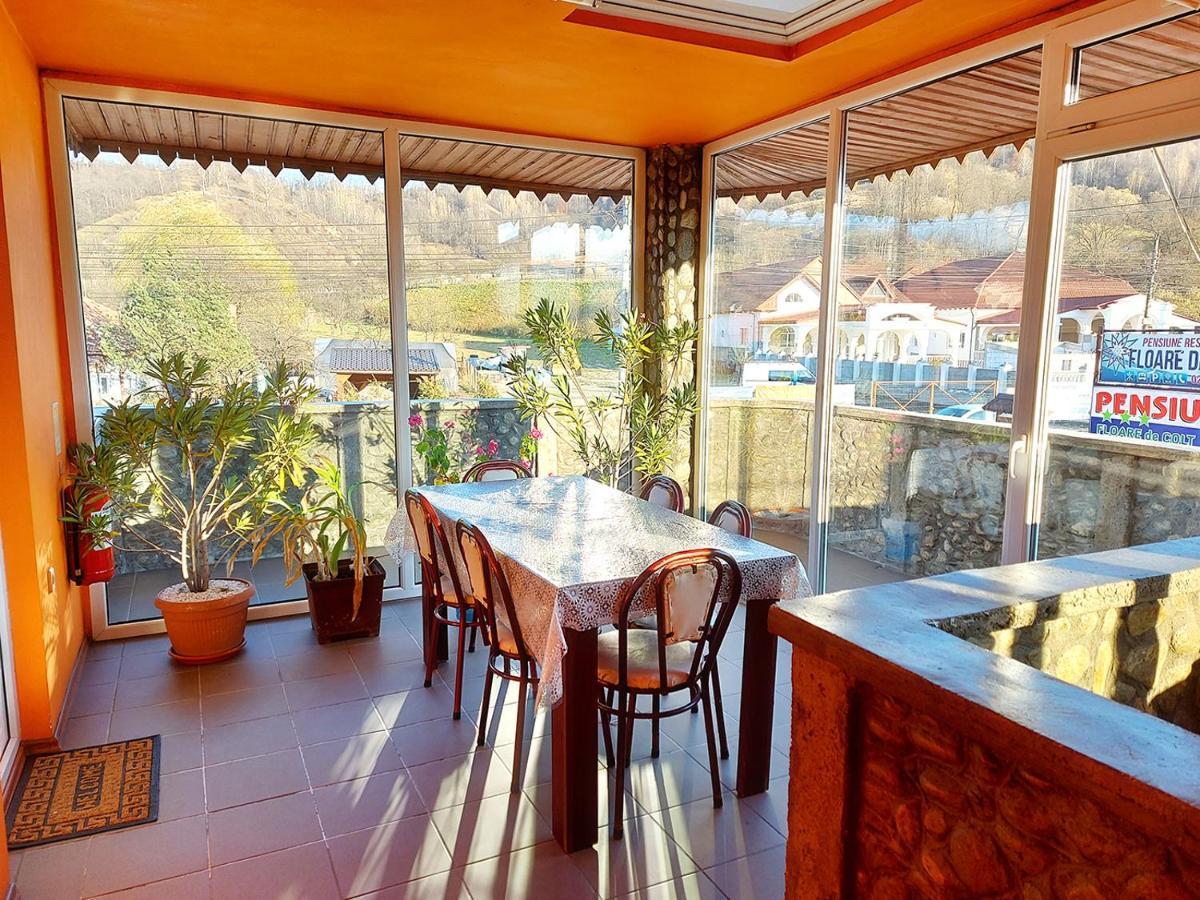 Floare De Colt Petrosani Otel Dış mekan fotoğraf