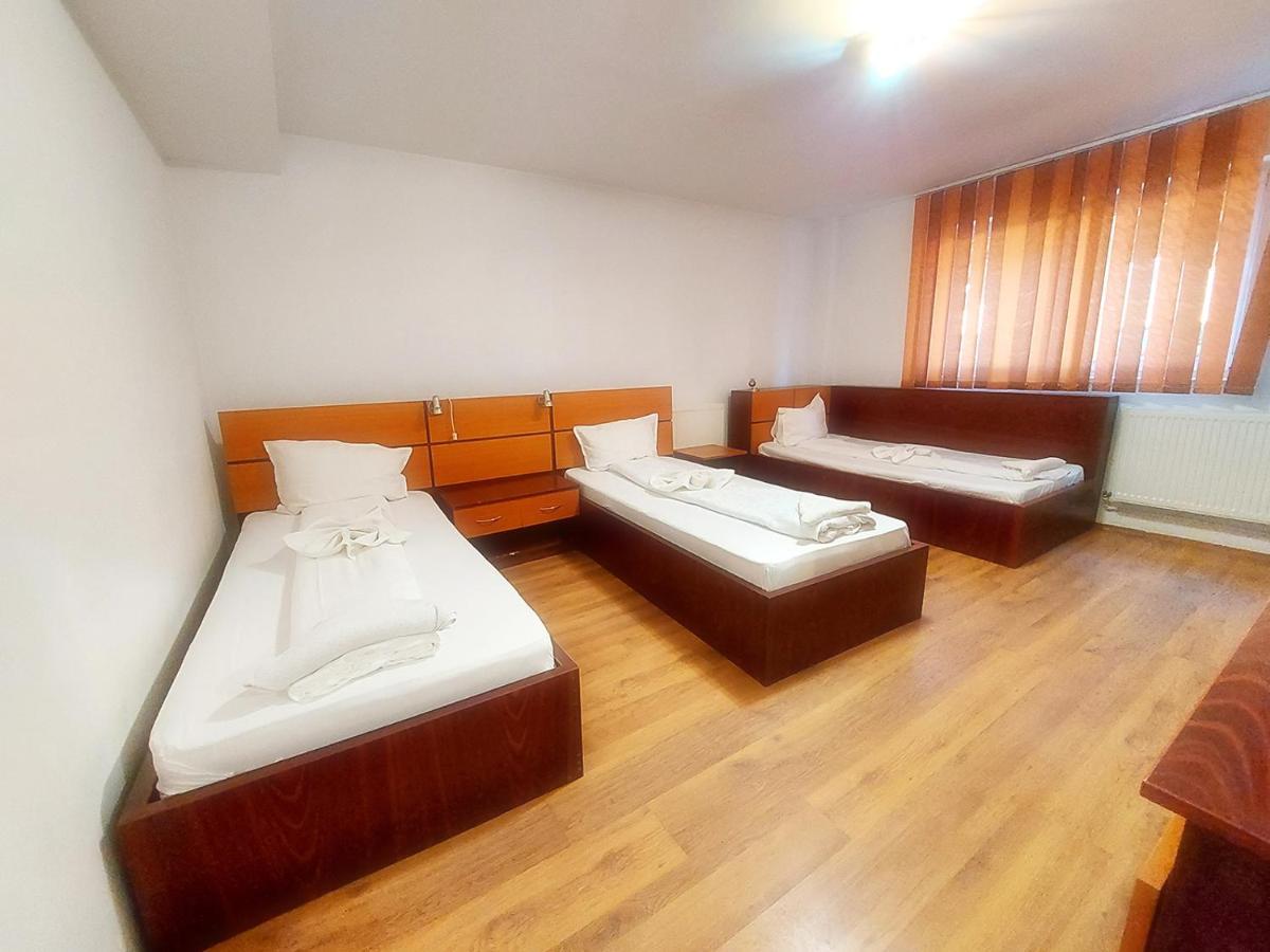 Floare De Colt Petrosani Otel Dış mekan fotoğraf
